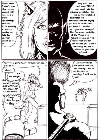 Cover of Stellar 1 - Night (And Day) Of The Vixen 1